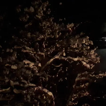 Kupfer Appartement *